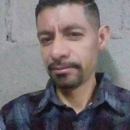 Erasmo, 51, 