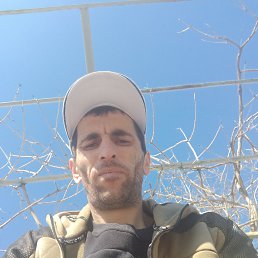 , 33, 