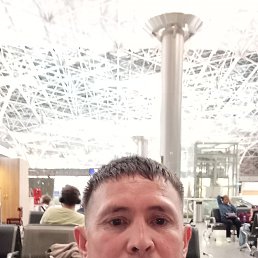 , 40, 