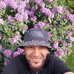 , 43, 