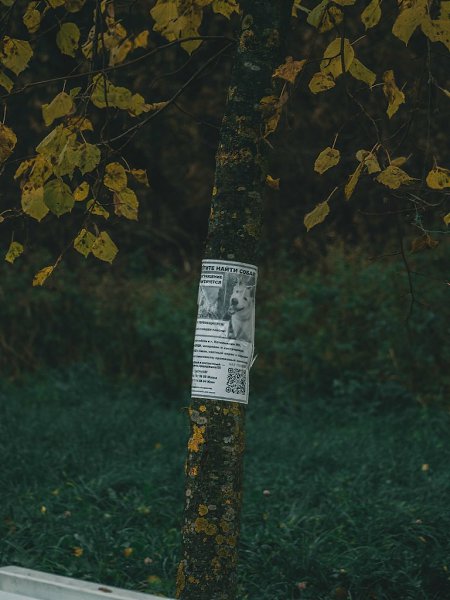 ������� ��������� ������� ������� - 4