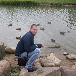, 41, 