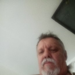 , 61, 