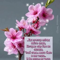 ���� ����, ����, 54 ���� - ��������� 28 ��� 2026