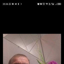 ������, 50 ���, �����������