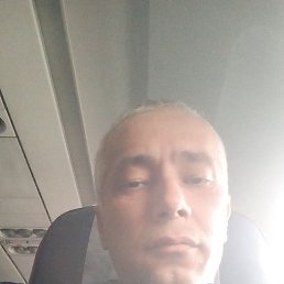 , 39, 