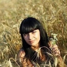 �������, ������, 23 ����