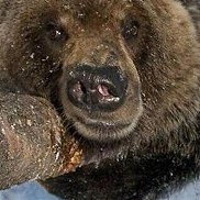 ���������, 59 ���, �����������