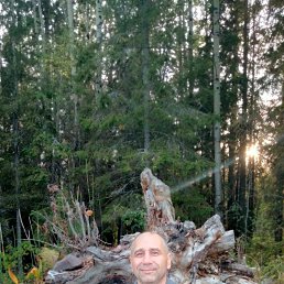 ������, 49 ���, ������������