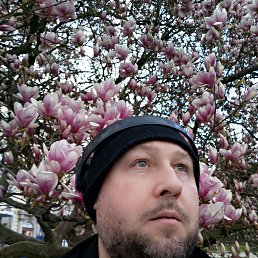 Max, 44, 