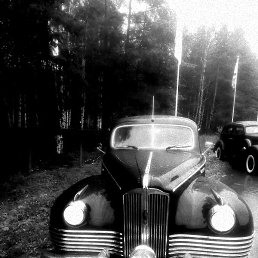 ����, ������������, 36 ���