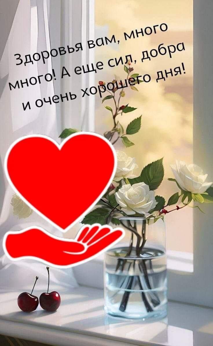 ���� - 15 ������ 2024 � 20:46