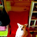  ,   -  23  2024    . -. 