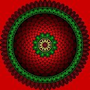 ���� ������, ������, 57 ��� - ��������� 11 ������ 2026 � ������ ���� ����������