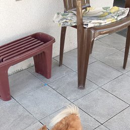 ���� �������, ������, 61 ��� - ��������� 7 ������ 2024