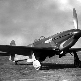 Agol, ������