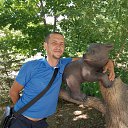 ���� �������, ��������, 37 ��� - ��������� 27 ������ 2025 � ������ ���� ����������