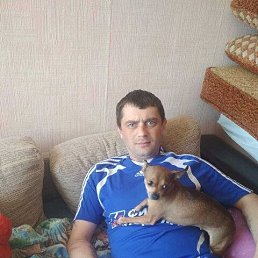 , 34 , 
