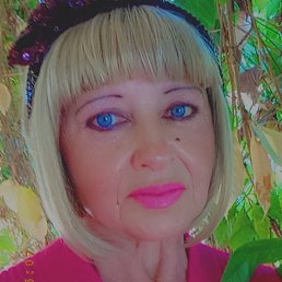 �����, ���������, 66 ���