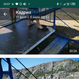 , 65, 