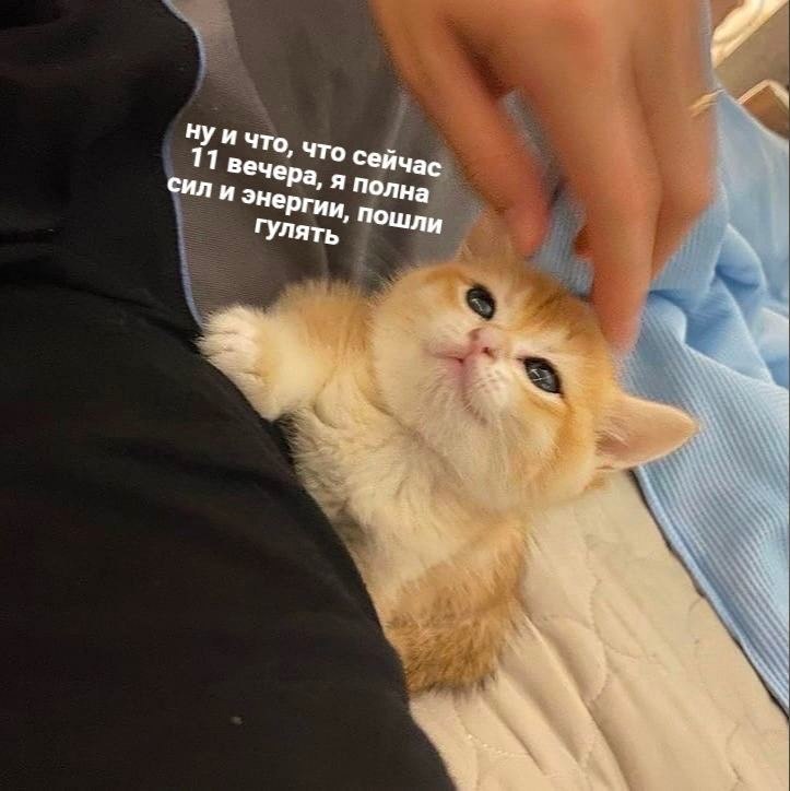    - 24  2023  21:13