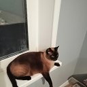 ���� ���������������, ������, 73 ���� - ��������� 13 ������ 2025 � ������ ������ ��������