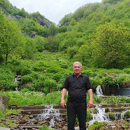 , 52 , 