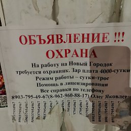 ���� �����, ������, 58 ��� - ��������� 17 ������ 2026