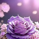 ���� �����, �������, 35 ��� - ��������� 13 ������� 2026 � ������ ���� ����������