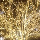 ���� ������, �����, 28 ��� - ��������� 28 ���� 2025 � ������ ���� ����������