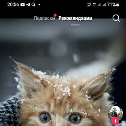 ���� ����, ���������, 56 ��� - ��������� 18 ������� 2025