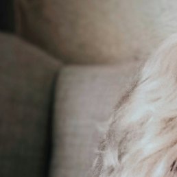 ������, �������, 57 ���