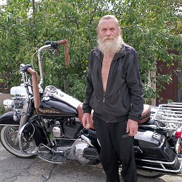 ���� ������, ���������, 63 ���� - ��������� 4 ������ 2026