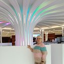 ���� ����, ������, 71 ��� - ��������� 20 �������� 2025 � ������ ���� ����������