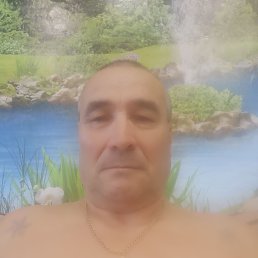 , 56 , 