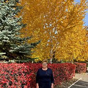 ���, 65 ���, ��������