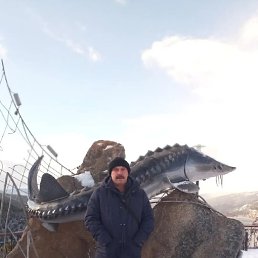 , 55, 