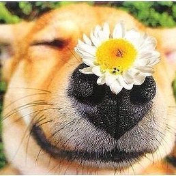 ���� �����, ���������, 52 ���� - ��������� 27 ������� 2025