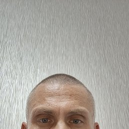 , 41, 
