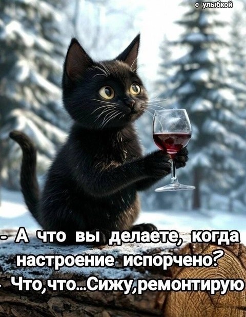  - 21  2025  19:59
