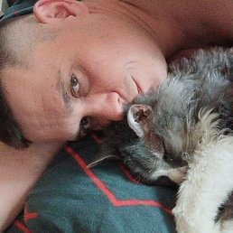 ���� ������, �������������, 38 ��� - ��������� 7 ��� 2026