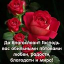 ���� ���� ��������, ������, 41 ��� - ��������� 30 ��� 2025