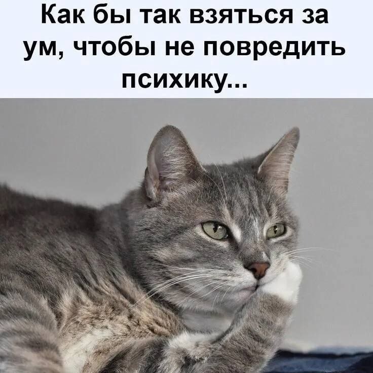   - 31  2025  10:54