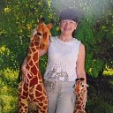 ���� �������, ����� - ��������� 10 ������ 2024 � ������ ���� ����������