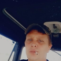, 41, 
