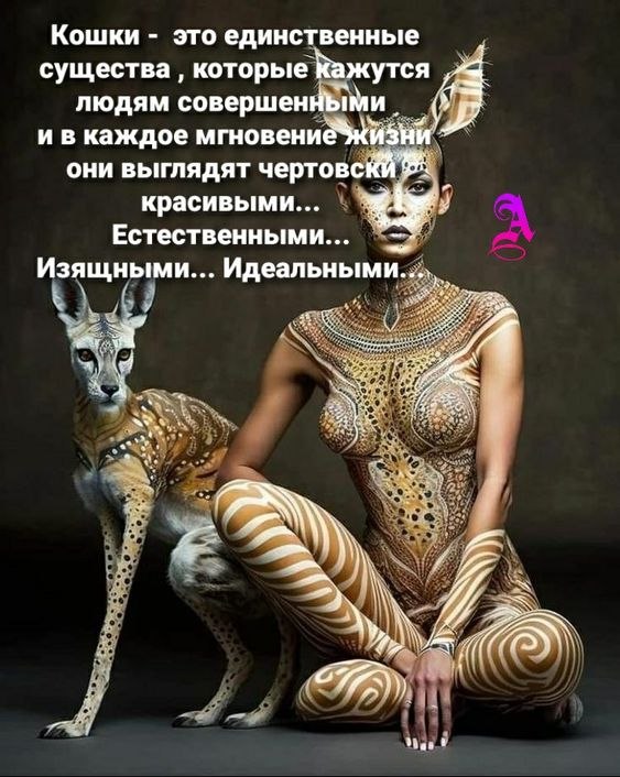 ₪╬═►  ||  ||  ◄═╬₪ - 3  2024  06:06