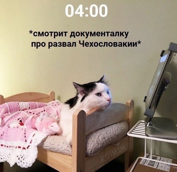 ������ ����� - 6