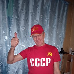 , 61, 
