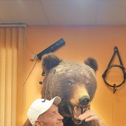 ������, ������, 55 ���