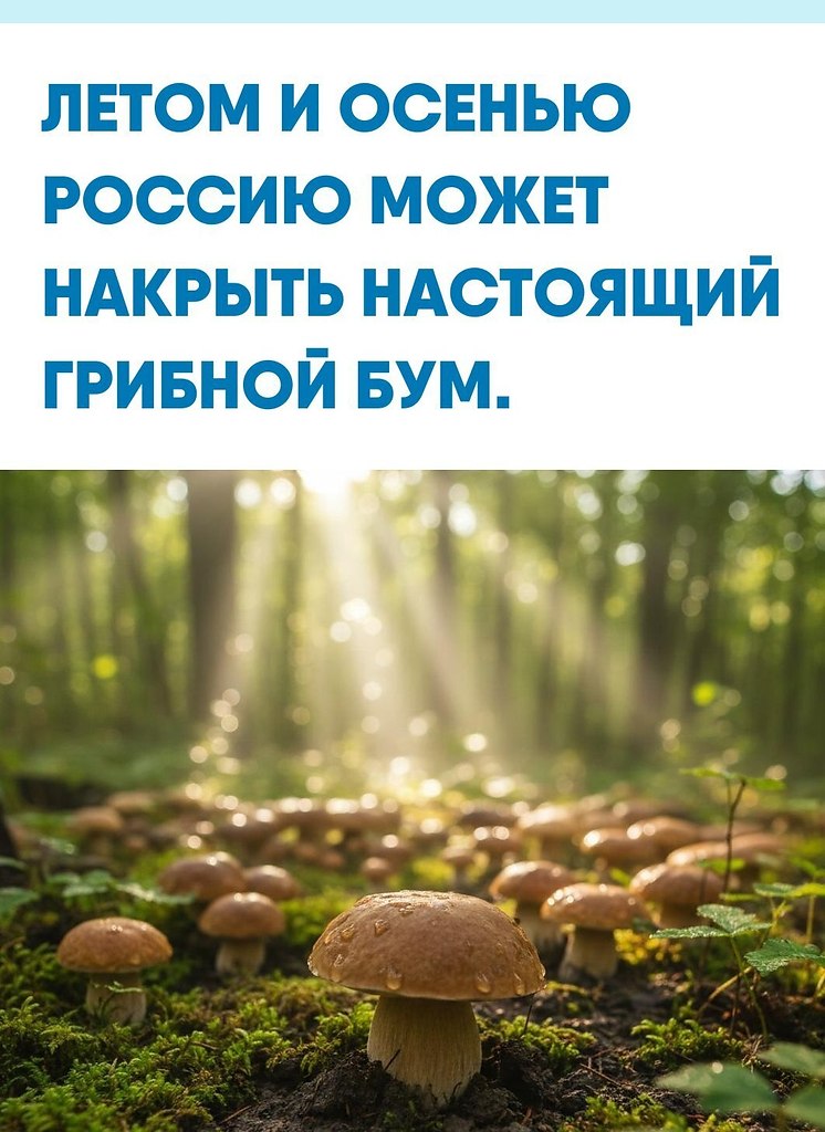 �������e c�e�o�a�� �a ���� �opo�o �a���a�� �o��� ��a�o�, a �a���e c�e�a c�op��p�e� cep������ �a�ac ...